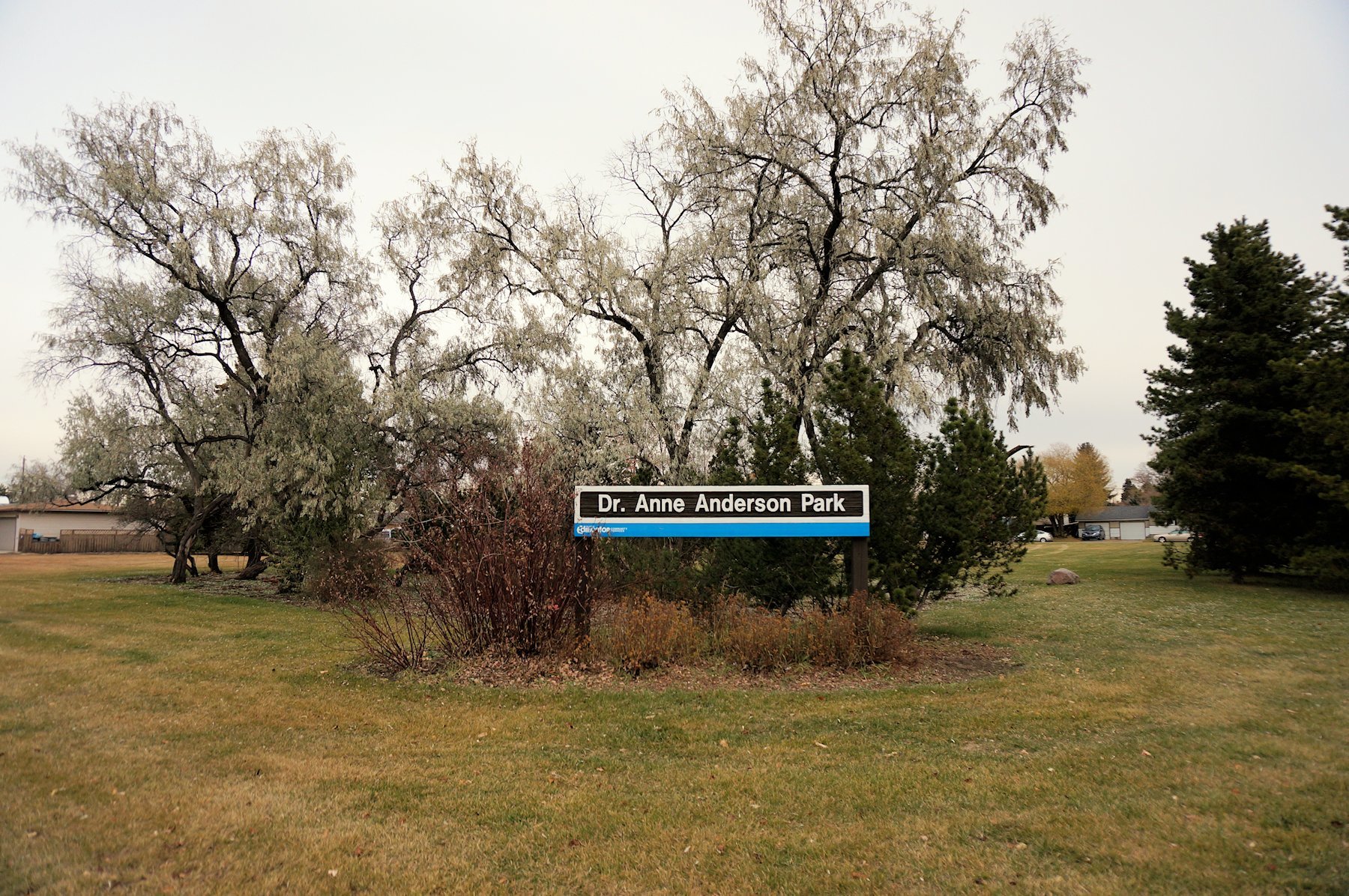 Britannia Youngstown Edmonton Homes For Sale, Britannia Youngstown Real